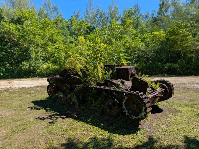 戦禍の記憶を伝える、草が伸びた戦車