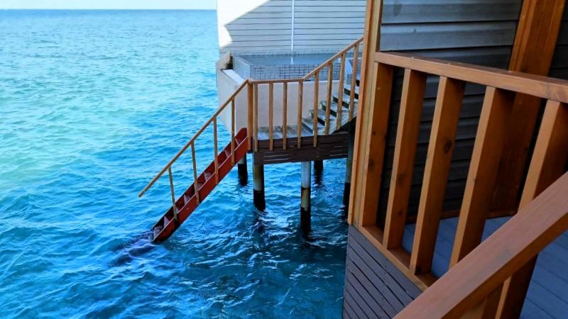 お隣との距離感はこんな感じです