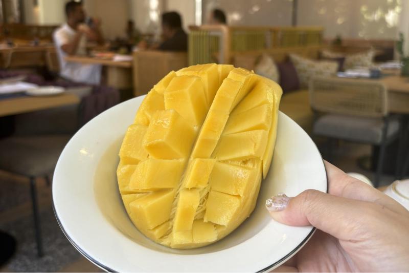 大きいマンゴー！