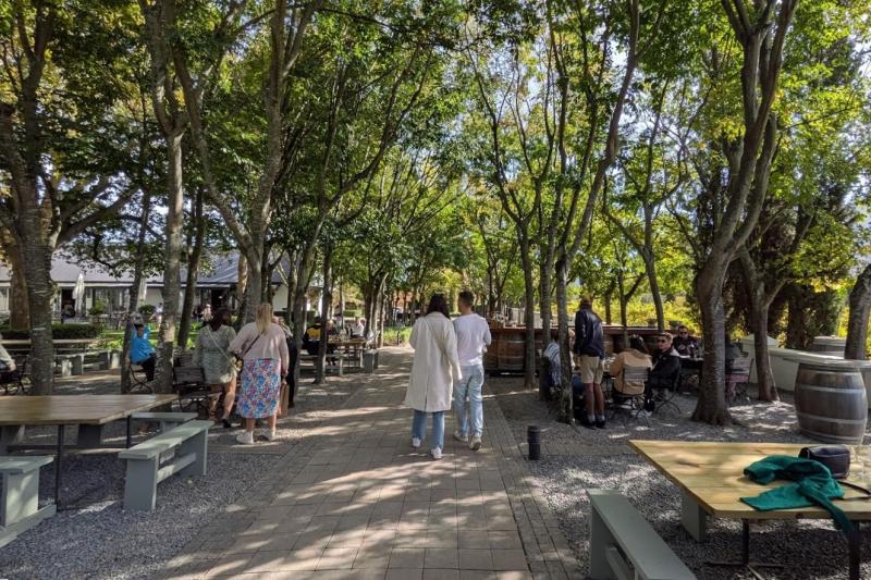 木々に囲まれ心地よく、とても良い雰囲気です