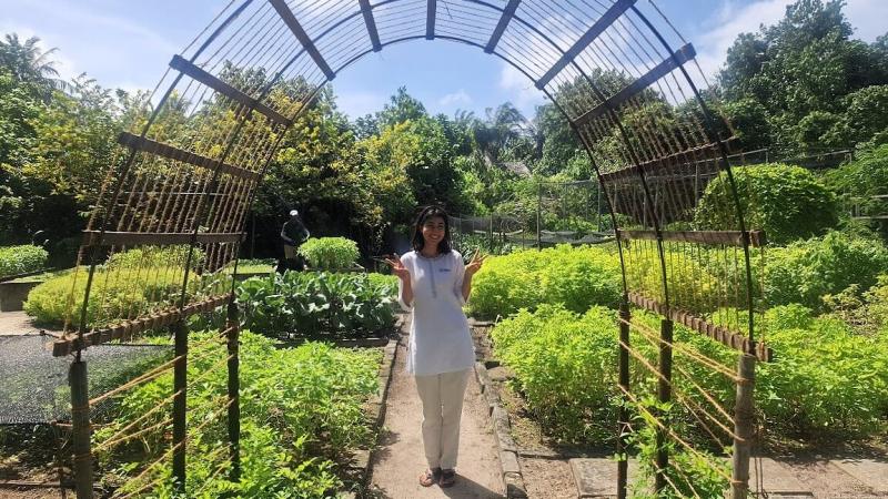 オーガニックガーデン