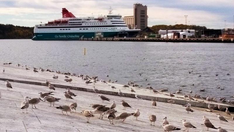 港には明日乗船する客船の姿が！