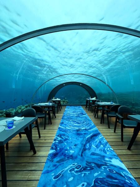 スコール真っ最中の水中レストランでしたが、たくさん魚たちが見られました