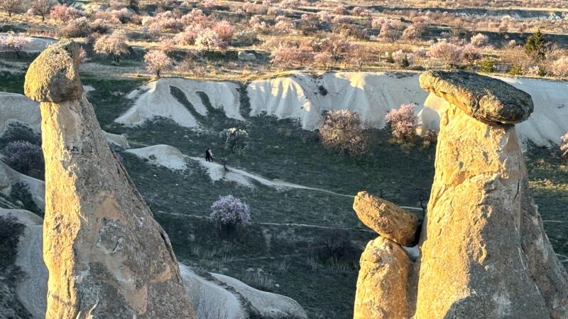 エフェソス遺跡の後は、カッパドキアへ。キノコ岩（カッパドキア）