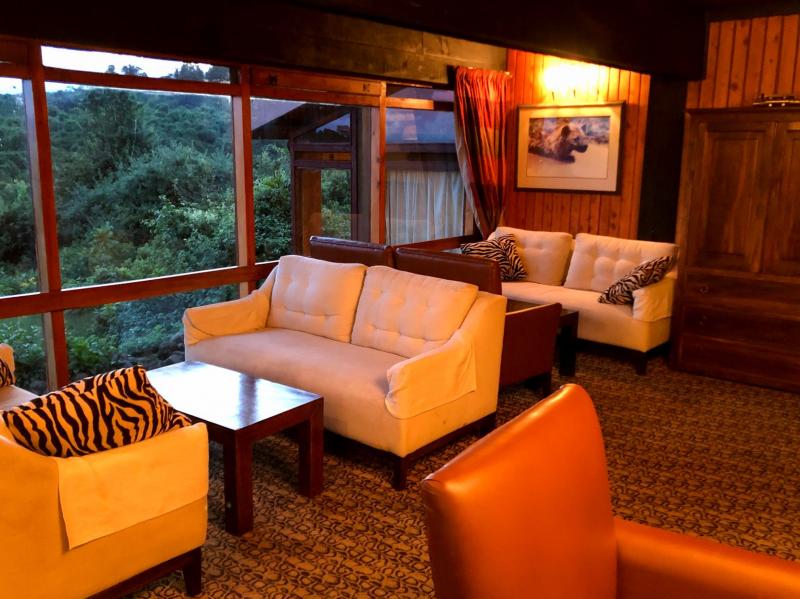 お茶をいただきながら、ラウンジのソファーから森を眺めてくつろぐことができます