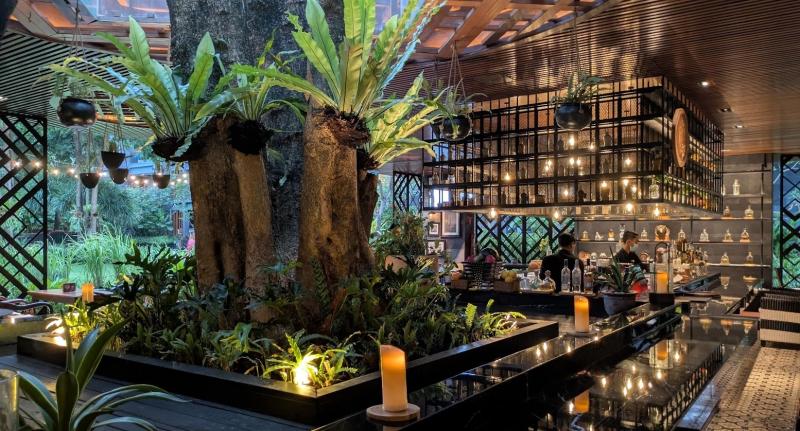 Pule Tree という大きな木の存在感がすごい！