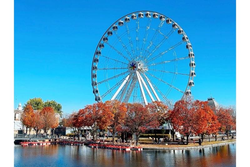 モントリオール旧港の観覧車と、青空に映える紅葉