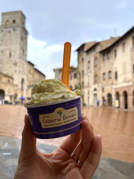 バスツアーにてサンジミニャーノへ。名産のサフランが使われたジェラートが美味しかった♪