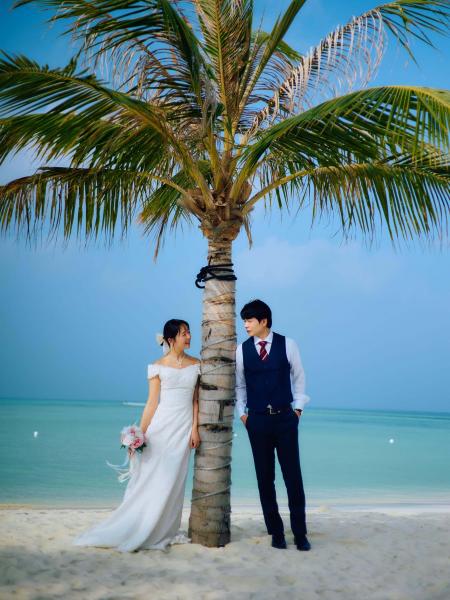 ヤシの木とビーチを背景に