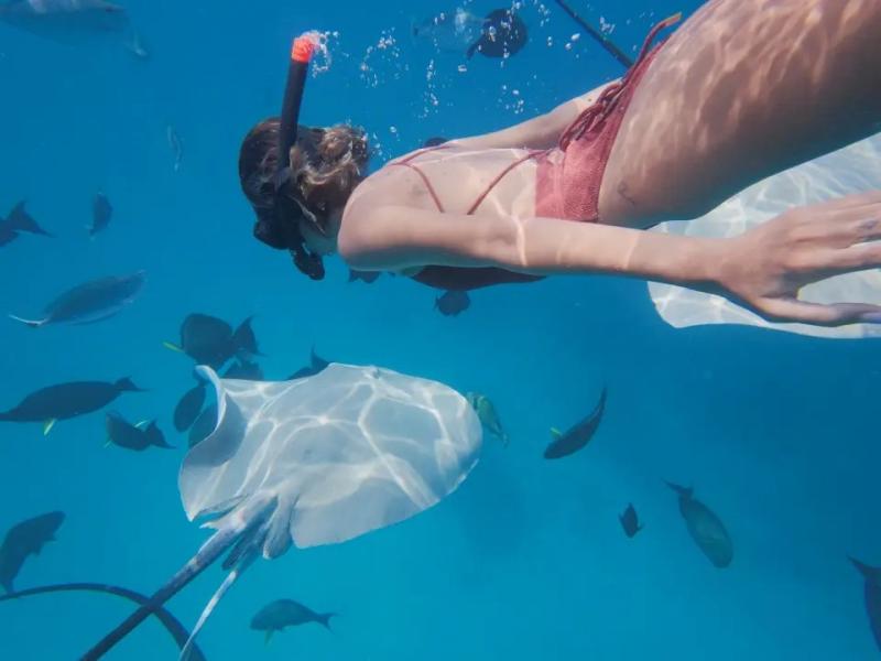 シュノーケリング