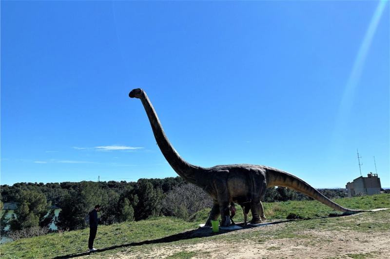 大きな大きなティラノザウルスもおりました！ 今にも歩き出しそうです