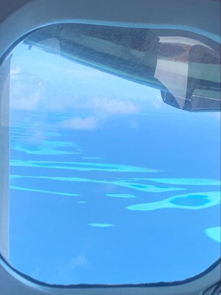 水上飛行機からの景色