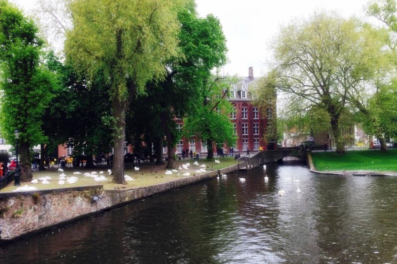 新緑が美しい春のブルージュ