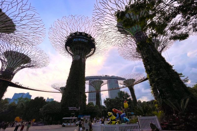 今ではすっかりシンガポールのアイコニックにもなっている、ガーデンズ バイ ザ ベイにあるスーパーツリー