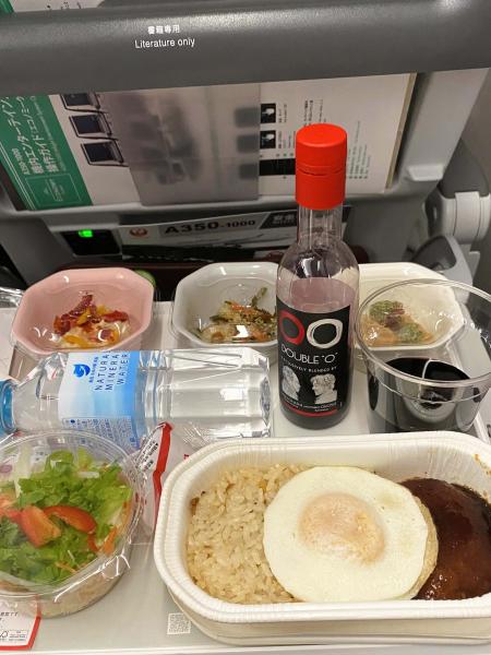 カンクンへはJAL機材によるアメリカン航空共同便を利用。機内での機内食