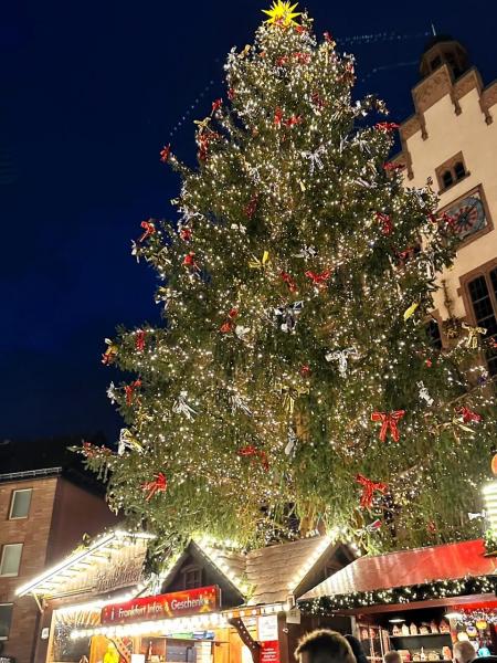 ドイツで最も古くからあるレーマ広場のクリスマスマーケットでは、毎年1番大きなツリーを飾るそうです。こんなに大きなクリスマスツリーは初めて見ました！