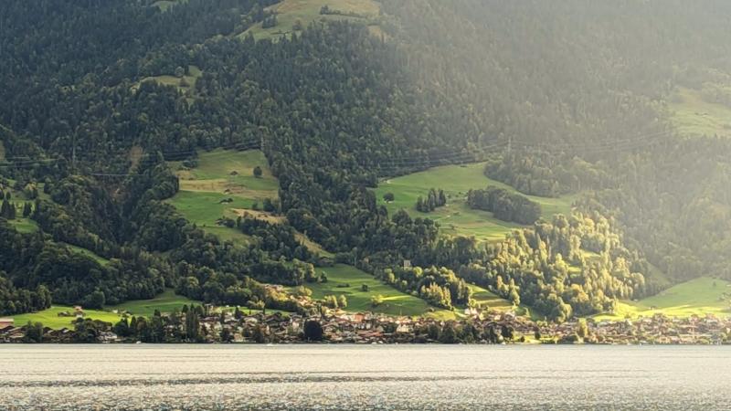 船からは湖畔沿いの町並みを見渡すことができます