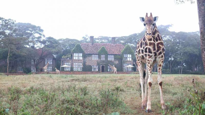 イメージ（Photo by：Giraffe Manor-The Safari Collection）