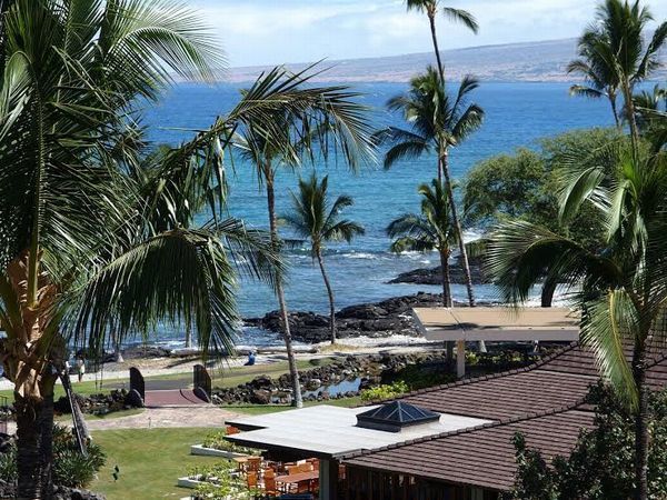 KONA REVIEW|ハワイ島 お客様の声