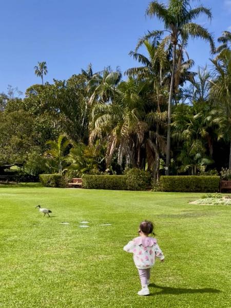 野鳥を追いかけるのが楽しくてたまらない1歳の娘