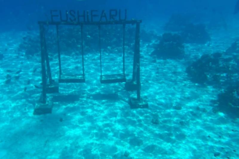 写真映えスポットの水中ブランコ！