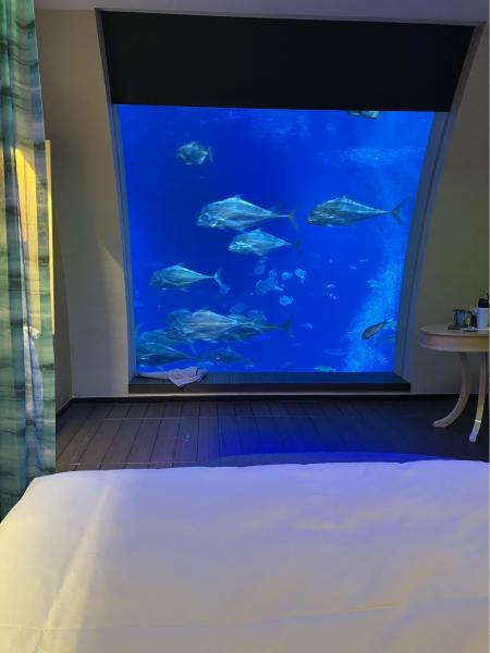 たくさんの魚たちが泳ぐ大きな水槽が目の前に！