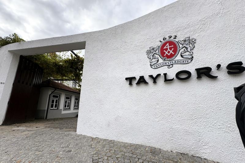 テイラーズのワインセラー
