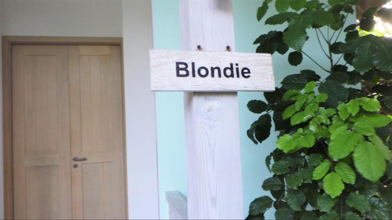 1つ目のお部屋はBlondieさん