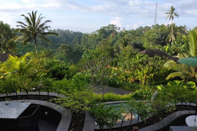 旅の後半に宿泊したサナ ウブド プラマナ エクスペリエンスにてジャングルの眺め