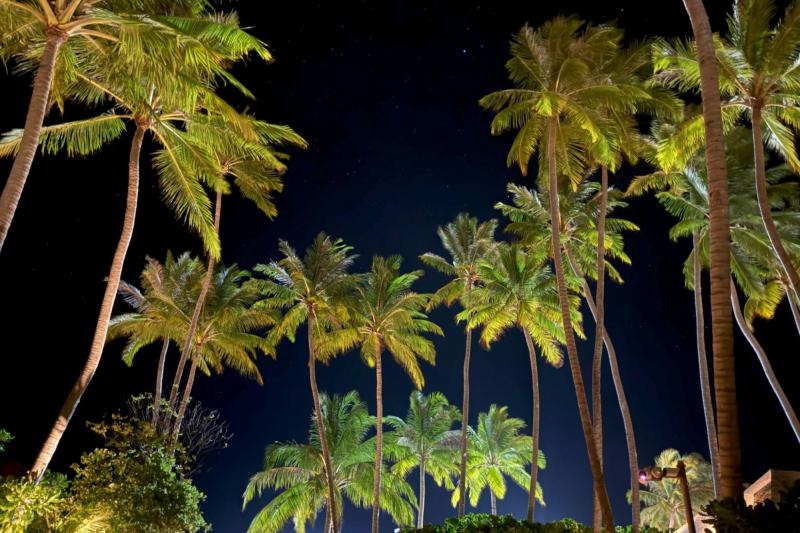 夜はヤシの木もライトアップされていて、散歩しているだけで気持ちよかった♪