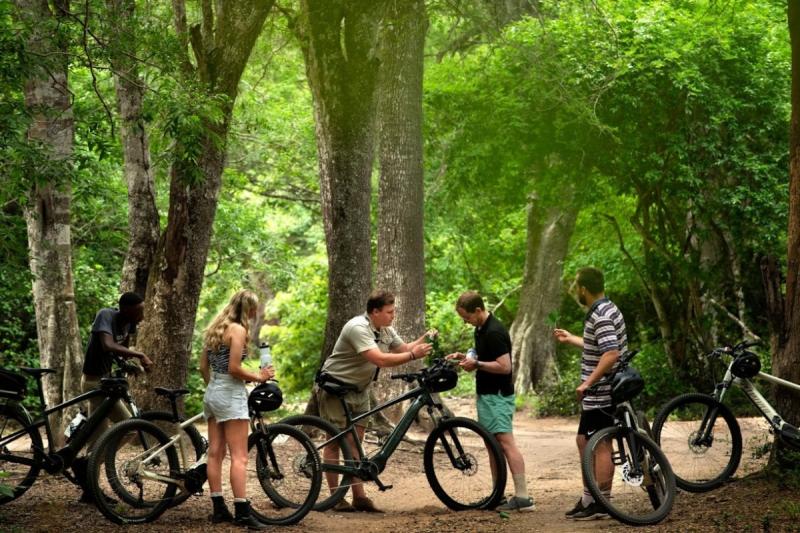 電気自動車アドベンチャー