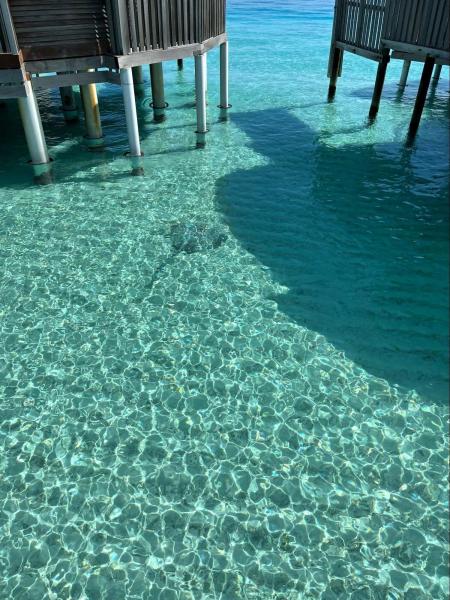 翌朝、すっかり晴れた海でも発見！