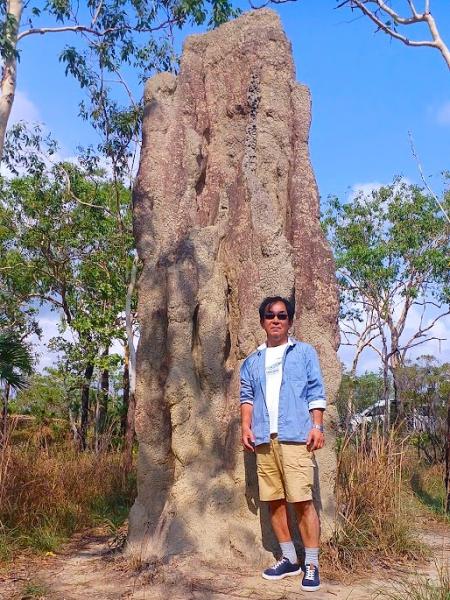 高台に高さ2mを超える巨大なアリ塚