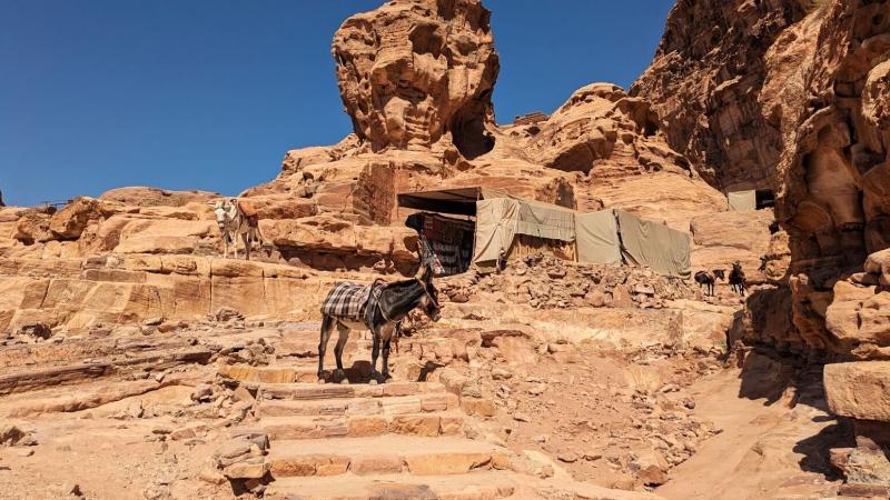 ロバもちらちらと歩いてました