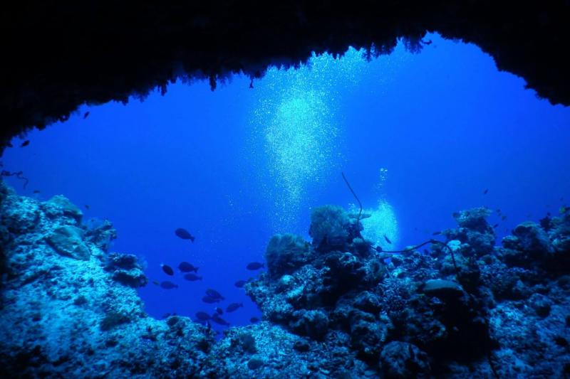 ダイビングでの1枚