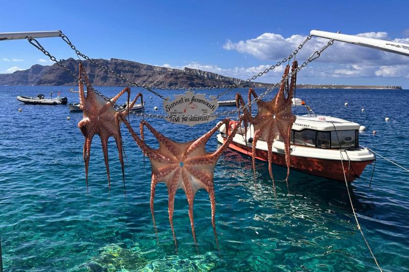 アモウディベイのシーフードレストラン