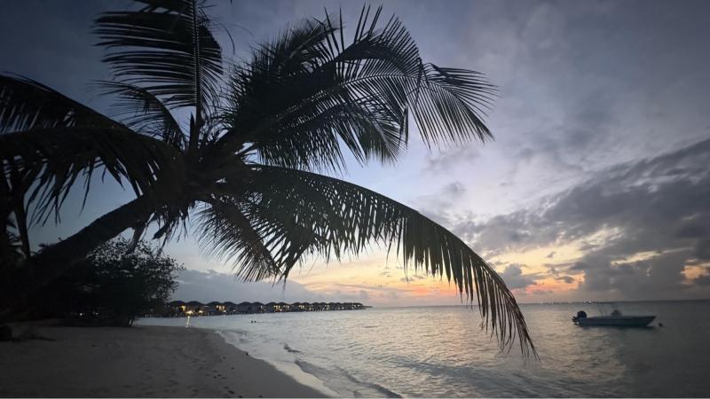 日の出と日の入の海岸を散歩するのが楽しみでした