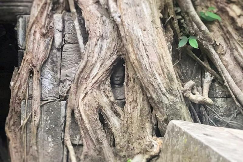 タイのアユタヤの仏像のような木の間から微笑む像