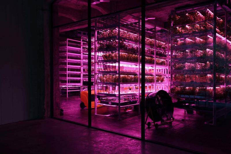 スペースファームズ