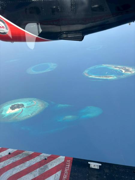 水上飛行機からの眺め