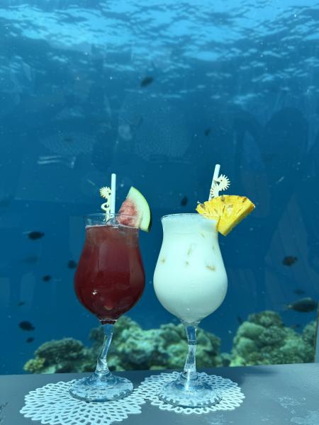 水中レストランにて。ここでの時間は忘れられません！