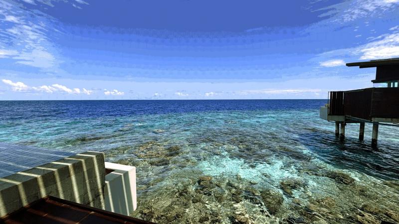 透明度抜群の海