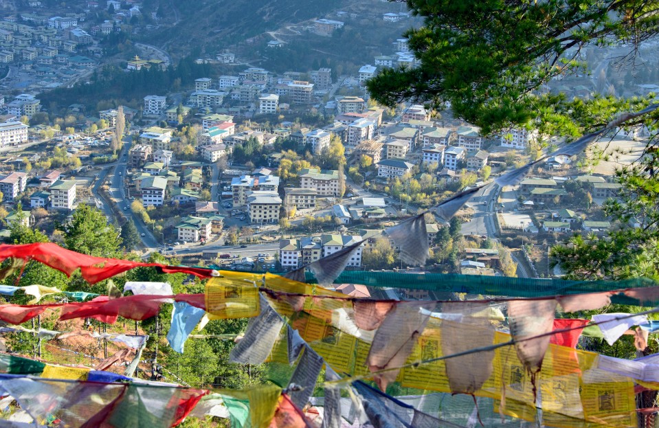 Thimphu REPORT|ティンプー 視察ブログ