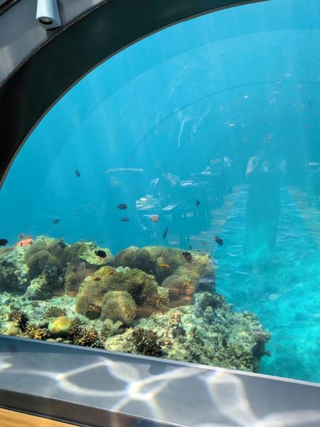 水中レストランからの眺め