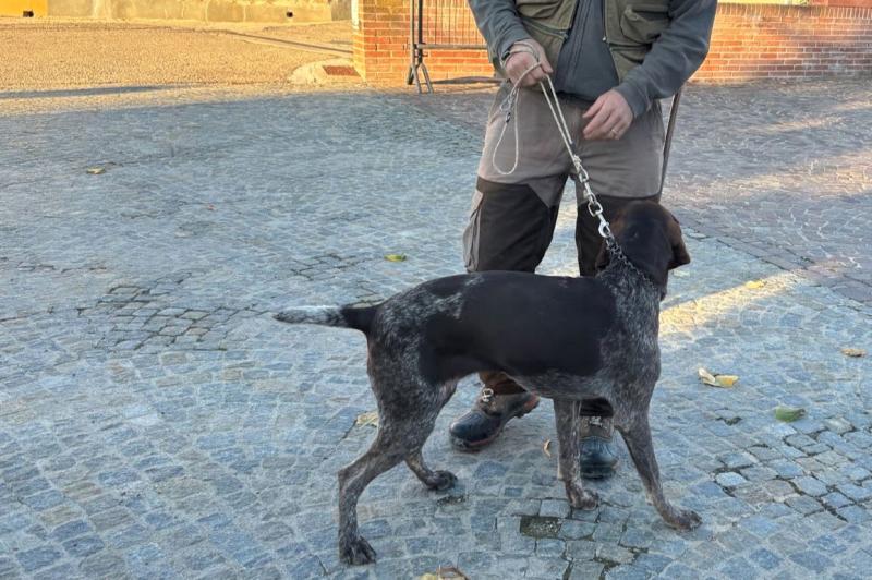 トリュフ犬と飼い主