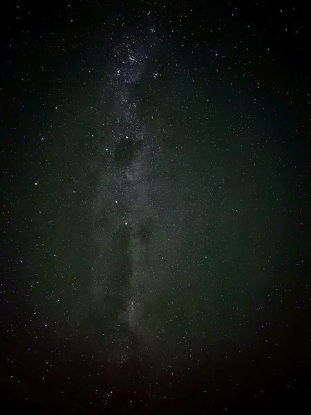 クイーンズタウン ガーデンズからの星空