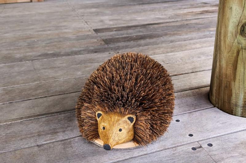 足についた砂を払ってくれるハリネズミくん
