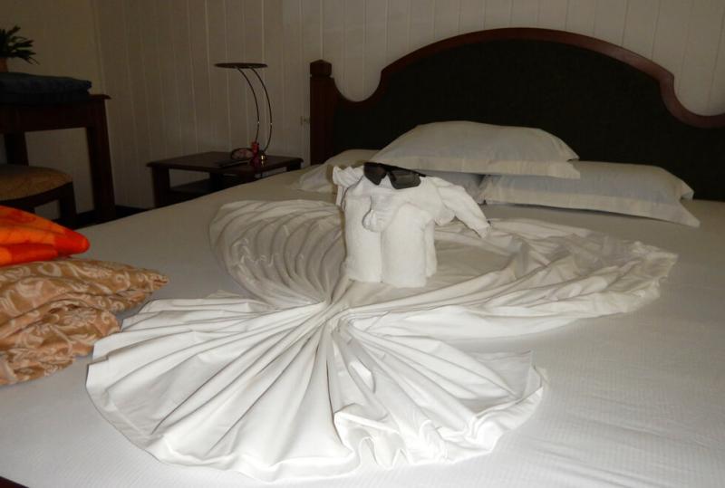 ホテルのスタッフが、タオルとサングラスで象さんを作ってくれました。