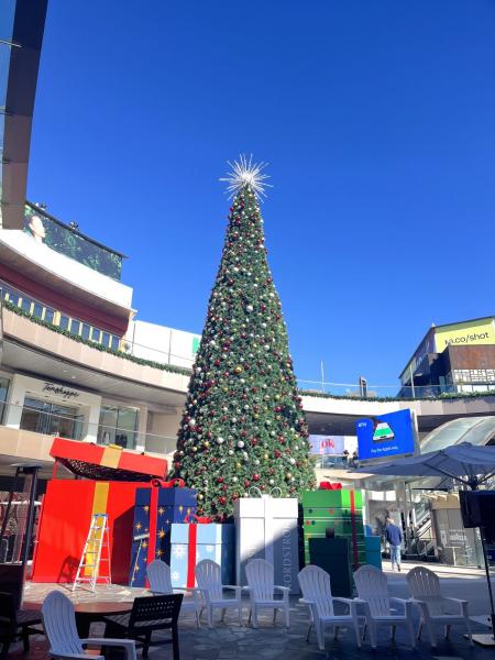 11月でもビッグなクリスマスツリーが！（サンタモニカ）