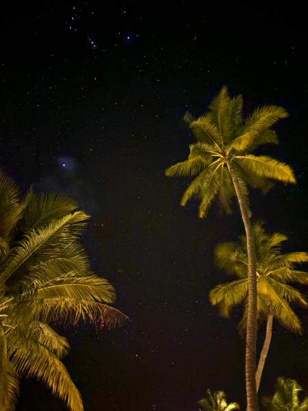 星空もすごくきれいでした。赤道に近いので、オリオン座がほぼ真上に見えます（見切れている左上がオリオン座）